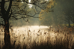 MPP1289 - The Hidden Bridge - 18x12