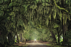 MPP955 - The Old Farm Road - 18x12
