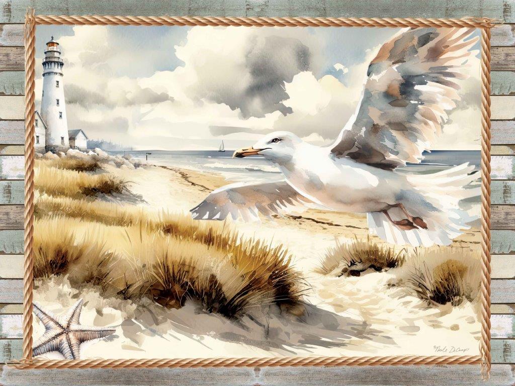 Nicole DeCamp ND292 - ND292 - Cape Cod Seagull - 16x12 Coastal, Landscape, Cape Cod, Lighthouse, Bird, Seagull, Starfish, Beach Grass, Coast, Sand, Rope Border, Wood Planks from Penny Lane