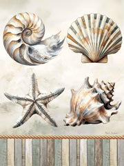 ND295 - Cape Cod Shores Seashells - 12x12