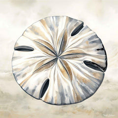 ND297 - Cape Cod Sand Dollar - 12x12