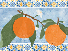 ND706 - Tiles and Oranges II - 16x12