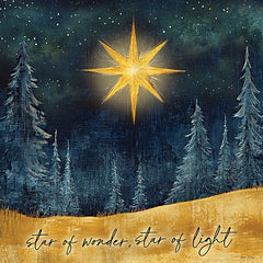 ND945 - Star of Wonder - 12x12