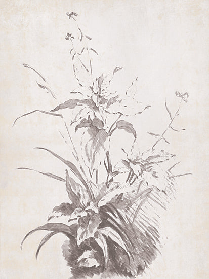Lauren Rader RAD1483 - RAD1483 - Natural Lines - 12x18 monochrome botanical ink painting, vintage plant study, asian brush style illustration, minimalist floral artwork, delicate leaves and stems, traditional botanical art from Penny Lane