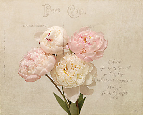 Jennifer Rigsby RIG281 - RIG281 - Beloved Letter - 16x12 peony bouquet photograph, vintage postcard background, soft pink and ivory peonies, romantic floral still life, textured paper, antique typography, correspondence postcard design, feminine decor, shabby chic, pastel green background, nostalgic, cottagecore aesthetic, floral photography from Penny Lane