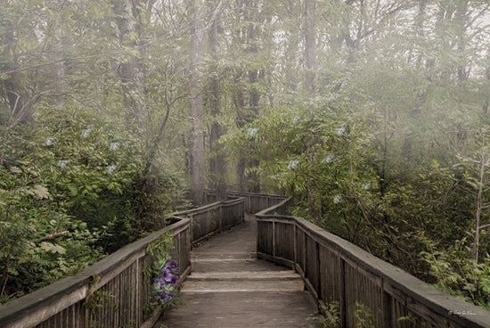 Robin-Lee Vieira RLV753 - RLV753 - Misty Woodland - 18x12 wooden boardwalk, forest path, misty woods, green foliage, trees, nature trail, wet weather, moody landscape, outdoor walkway, rustic railing, peaceful, wilderness, spring greenery, atmospheric haze, scenic photography, park trail from Penny Lane