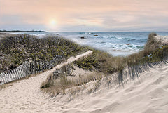 RLV815 - Beyond the Dunes - 18x12