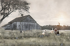 RLV837 - The Watering Station - 18x12