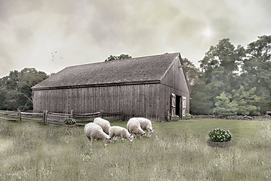 Robin-Lee Vieira RLV838 - RLV838 - Sheep in the Meadow - 18x12 sheep grazing beside wooden barn, green pasture, rustic rural setting, tranquil farm landscape from Penny Lane