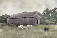 RLV838 - Sheep in the Meadow - 18x12