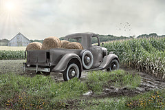 RLV843 - Hay Day - 18x12