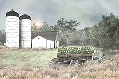 RLV849 - Twin Silos - 18x12