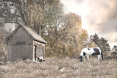 RLV850 - Forgotten Fields - 18x12