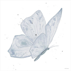 RN699 - Blue Flutter 1 - 12x12