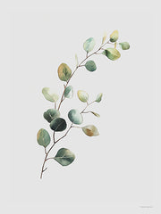 SA128 - Eucalyptus Whisper - 12x16