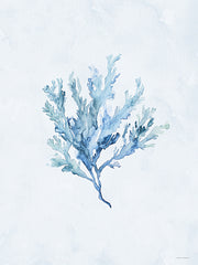 SA156 - Flowing Coral - 12x16