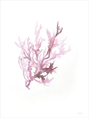 SA157 - Coral Bliss - 12x16