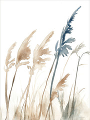 SA225 - Breeze Through the Reeds - 12x16