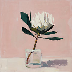 SA252 - Pale Radiance - 12x12