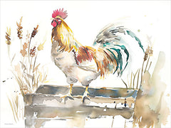 SA581 - Sunrise Rooster Call - 16x12