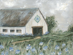 SAW181 - Blue Acres Barn - 16x12