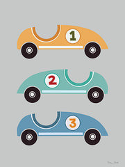 SB1553 - Vroom Vroom Race Cars - 12x16