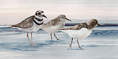 SDS1228 - Sandpipers - 18x9