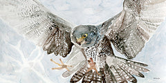 SDS1359 - Spread of Feathers - 18x9