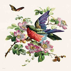 SDS1467 - Parakeet on Branch 2 - 12x12