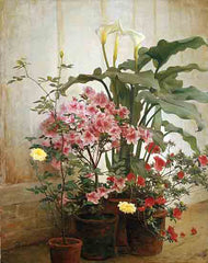SDS1490 - Side of a Greenhouse - 12x16