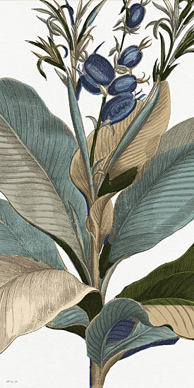 Stellar Design Studio SDS1535 - SDS1535 - Flowering Agave 2 - 9x18 vintage botanical illustration, tropical plant, muted blue and beige tones, fine detail etching, nature art print, elegant leaves, scientific style drawing from Penny Lane