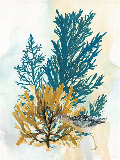 Stellar Design Studio SDS1595 - SDS1595 - By the Sea 1 - 12x16 shorebird illustration, watercolor bird with seaweed, coastal wildlife, marine flora and fauna, seaside decor, beach nature painting, sandpiper or wader bird art from Penny Lane