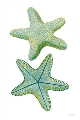 SDS1598 - Starfish Duo 1 - 12x18