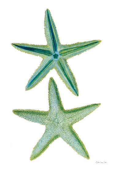 Stellar Design Studio SDS1599 - SDS1599 - Starfish Duo 2 - 12x18 green starfish duo, textured marine illustration, underwater animal art, beach decor, detailed aquatic painting, ocean life theme, natural sea life art from Penny Lane