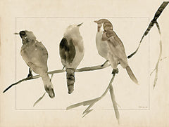 SDS958 - Song Birds     - 16x12