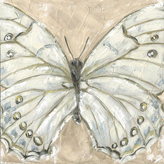 SGD257 - Showstopper - 12x12