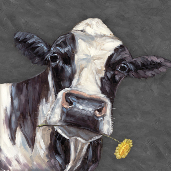 Sara G. Designs SGD260 - SGD260 - Dandelion Delight - 12x12 Cow, Black & White Cow, Farm Animal, Portrait, Dandelion, Brushstrokes from Penny Lane