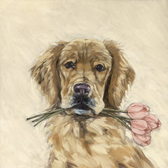 SGD315 - These are for You - 12x12