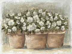 SGD349 - Subtle Beauty    - 16x12