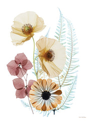 ST1144 - Botanical Reverie - 12x16