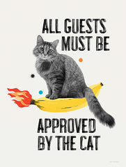 ST1154 - Approved by the Cat - 12x16