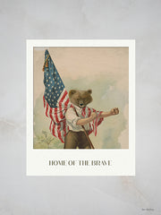 ST1250 - Home of the Brave - 12x16
