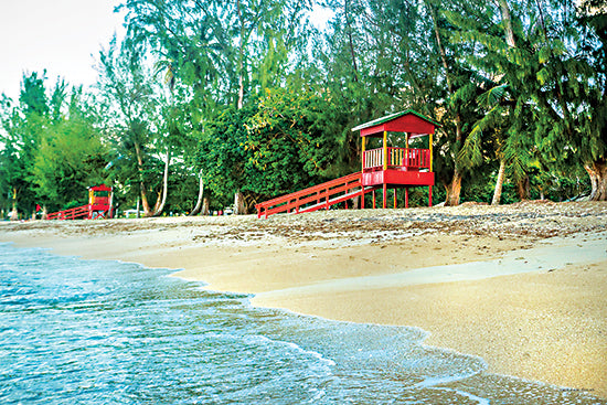Catch a Star Fine Art  STAR234 - STAR234 - Fajardo Shoreline - 18x12 lifeguard hut, tropical forest, Caribbean beach, green foliage, lush trees, red beach structure, sandy shore from Penny Lane