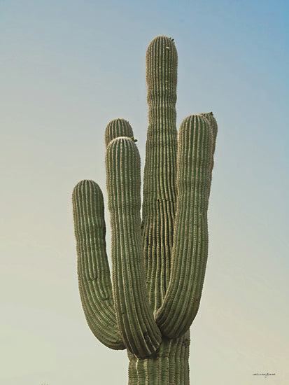 Catch A Star Fine Art STAR263 - STAR263 - Sonoran Saguaro II - 12x16 close-up saguaro cactus, desert plant texture, ribbed cactus columns, Sonoran desert cactus, botanical desert detail, southwest plant life from Penny Lane