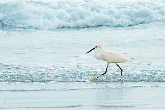Catch A Star Fine Art STAR295 - STAR295 - Feathers and Foam     - 18x12 egret, snowy egret, white bird, coastal bird, ocean waves, beach wildlife, nature photography, shoreline, wading bird, seabird, aquatic scene from Penny Lane