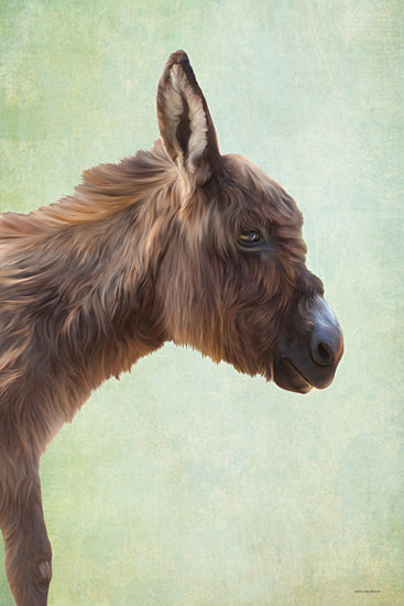 Catch A Star Fine Art STAR314 - STAR314 - Willow the Donkey - 12x18 brown donkey side profile, farm animal portrait, rural livestock animal close-up from Penny Lane