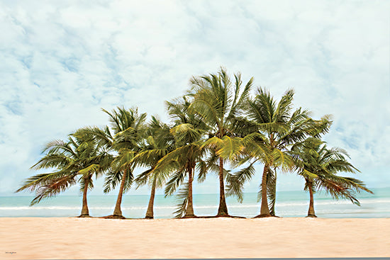 Catch A Star Fine Art STAR319 - STAR319 - Playa Fortuna - 18x12 row of palm trees beach, tropical island landscape, seaside palms sand shore from Penny Lane