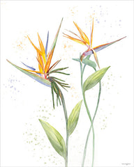 STAR416 - Bird of Paradise - 12x16