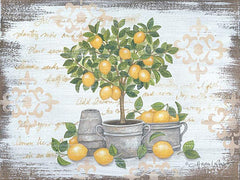 ALP1699 - Lemon Topiary - 0