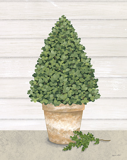 Annie LaPoint ALP2296 - ALP2296 - Potted Boxwood Tree - 12x16 Potted Boxwood Tree, Potted Tree, Still Life, Decorative from Penny Lane